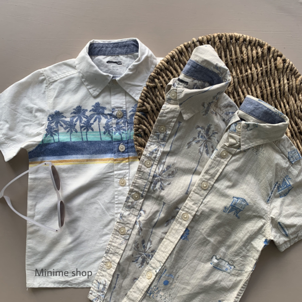 FA6C5E86-4F84-433D-90F0-66B3E3C4A01A