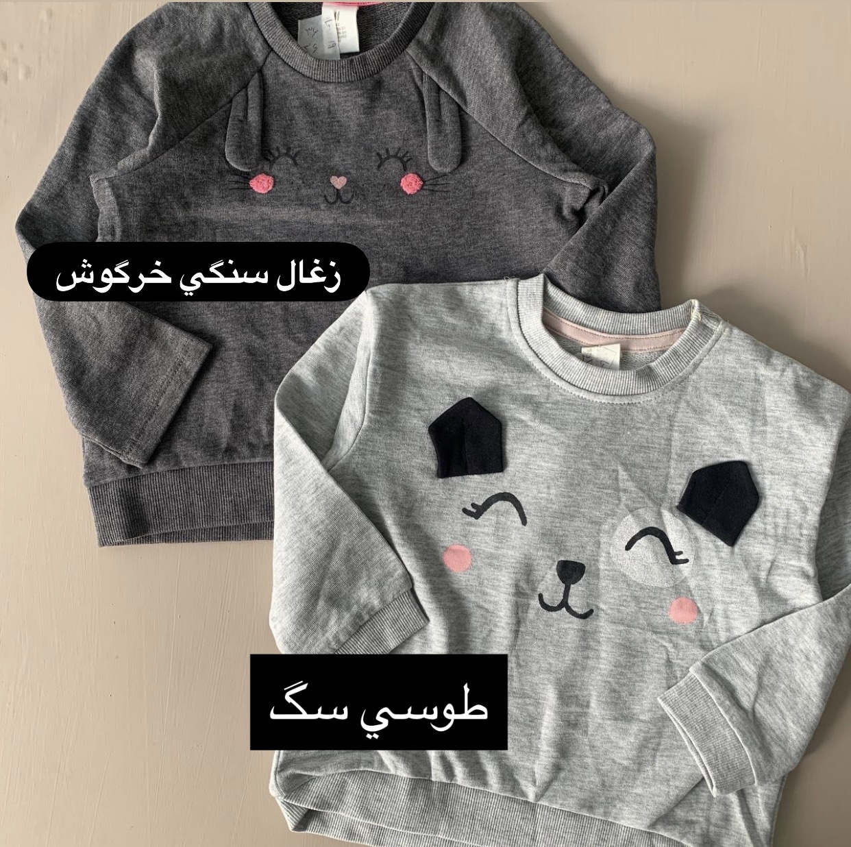 299469C0-527E-4A36-B2DC-514294542654